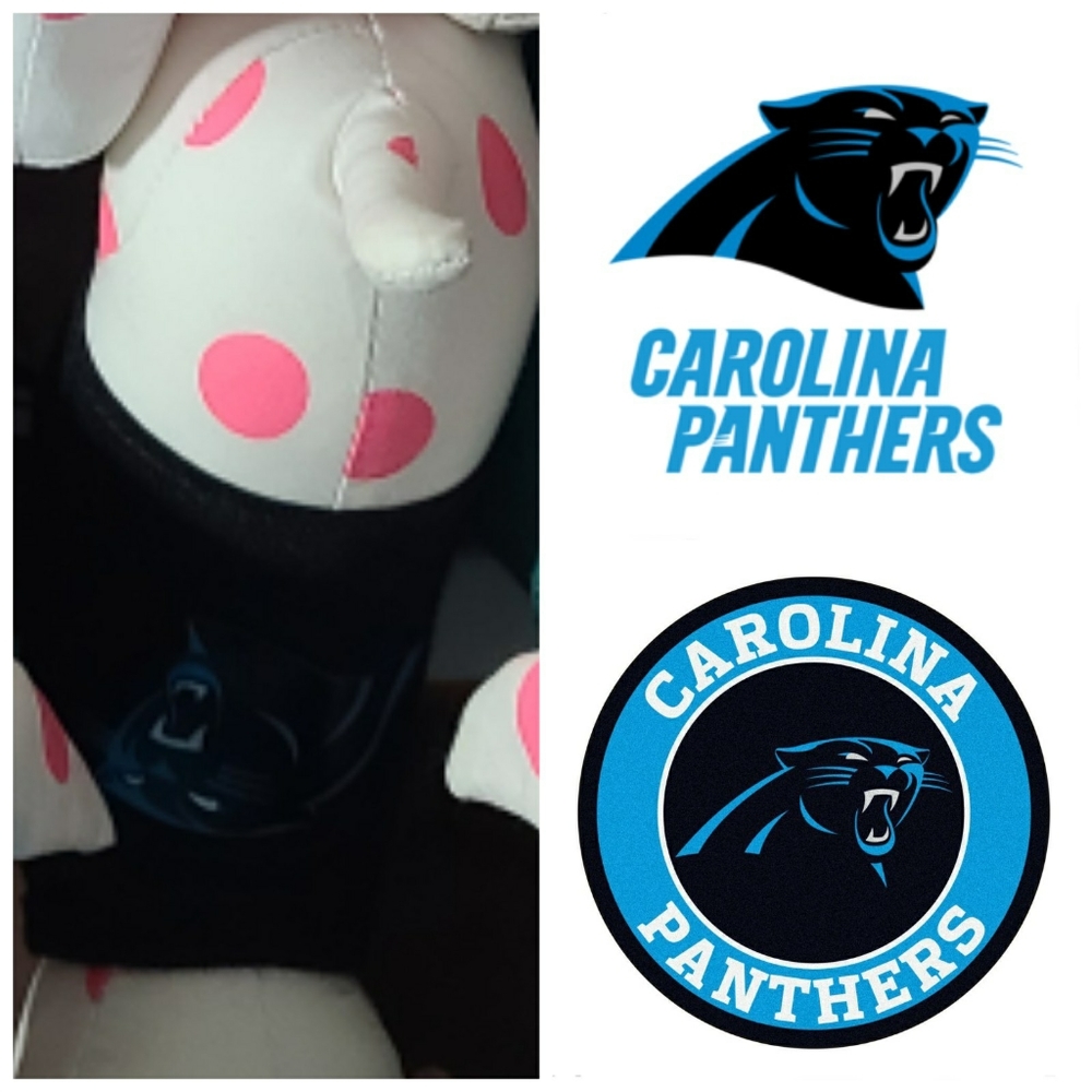 PANTHERS MINI DOG